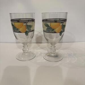 Mikasa "Garden Harvest" 14 Ounce Glassware Goblet 7” Set Of 2